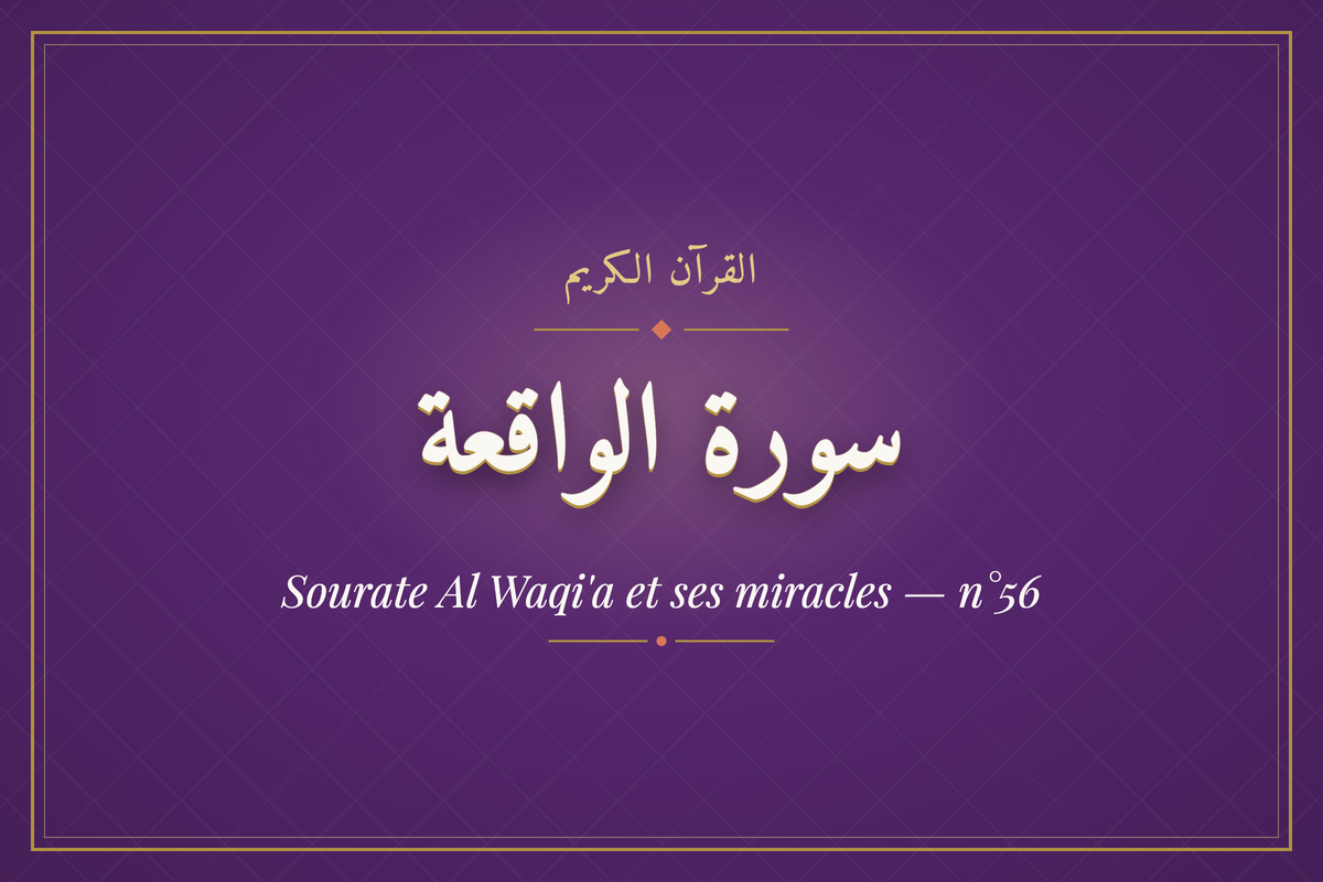 Sourate Al Waqi'a et ses miracles — n°56 (سورة الواقعة) — calligraphie | AL-IMEN