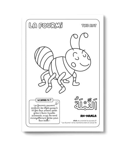 Colorie et apprends : Les 30 animaux cités dans le Coran - DeeniLearn DeeniLearn Livre Islam Enfant 9782931241226 Librairie Musulmane Al-imen