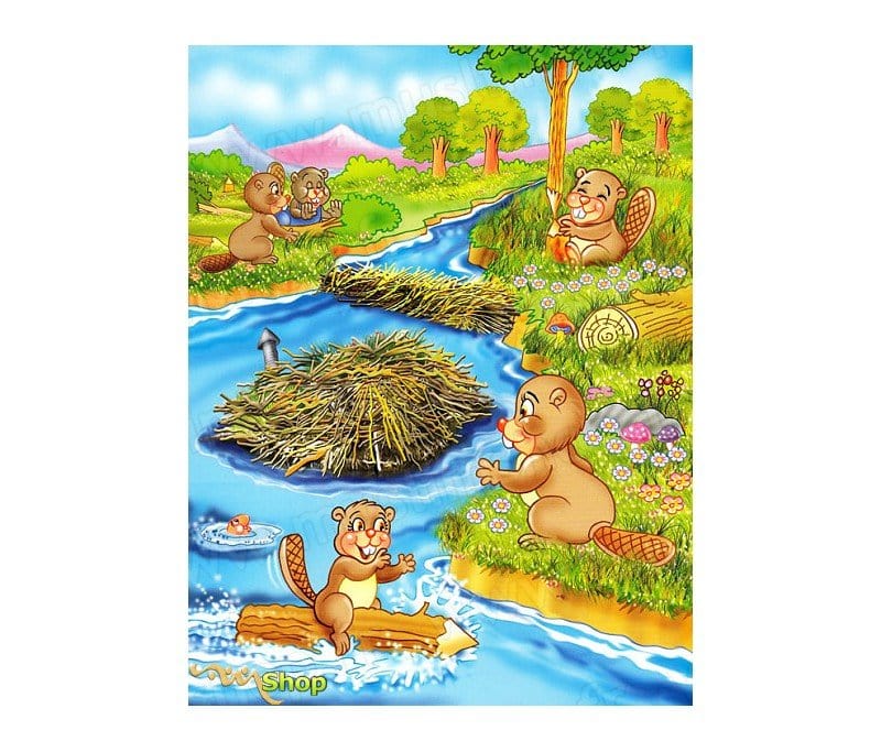 J'apprends que Allah est celui qui peut tout avec Sékou le castor Tawhid Livre Islam Enfant 9782848622293 Librairie Musulmane Al-imen