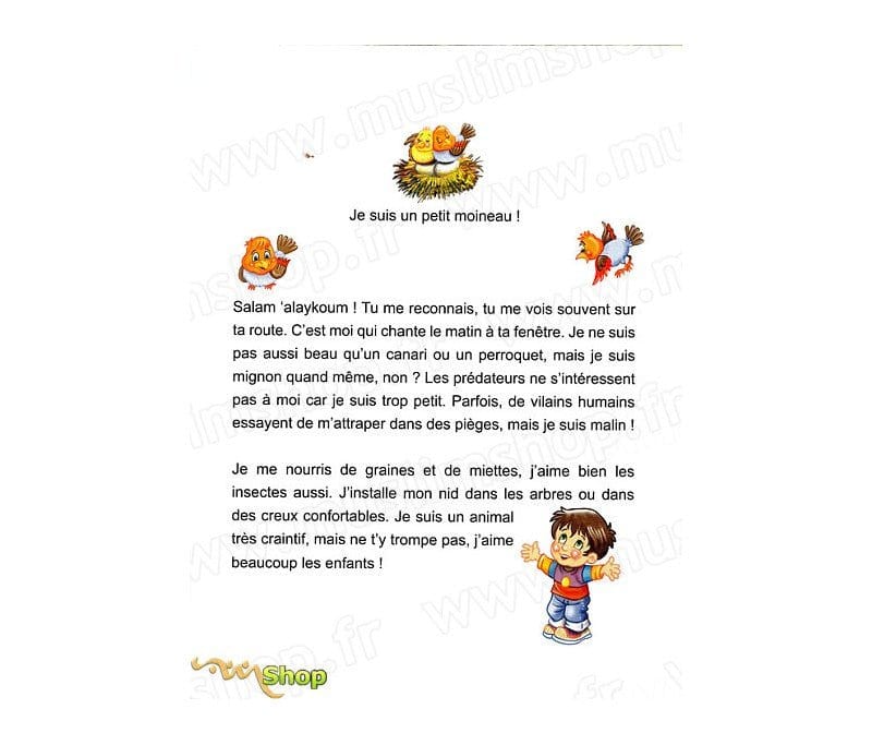 J'apprends que Allah est celui qui sait tout avec Aslam le moineau Tawhid Livre Islam Enfant 9782848622279 Librairie Musulmane Al-imen