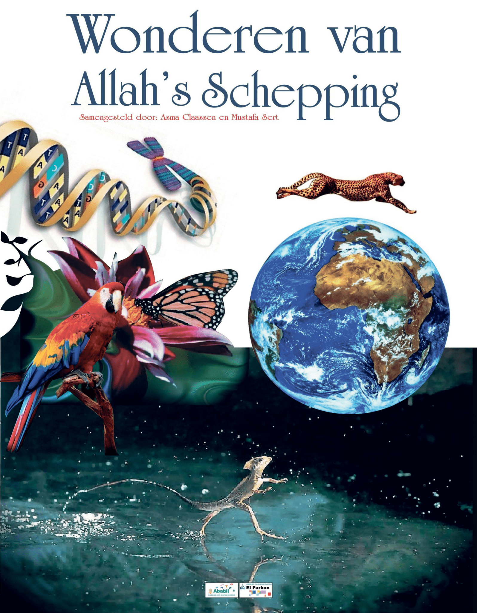 Wonderen van Allah's Schepping Al - imen